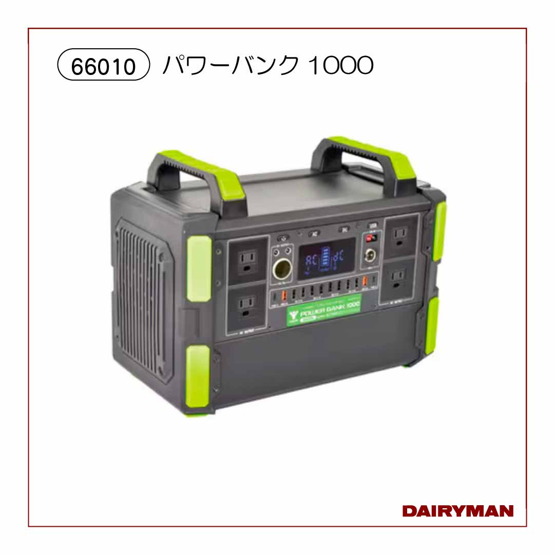 パワーバンク1000